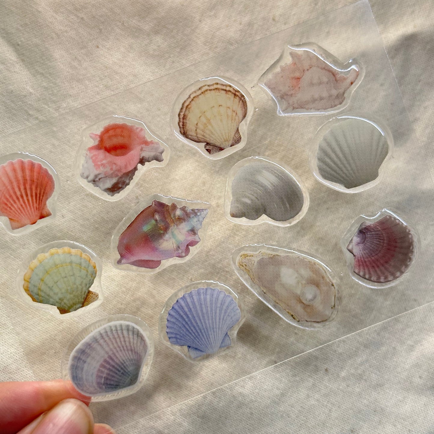 Seashell gummies