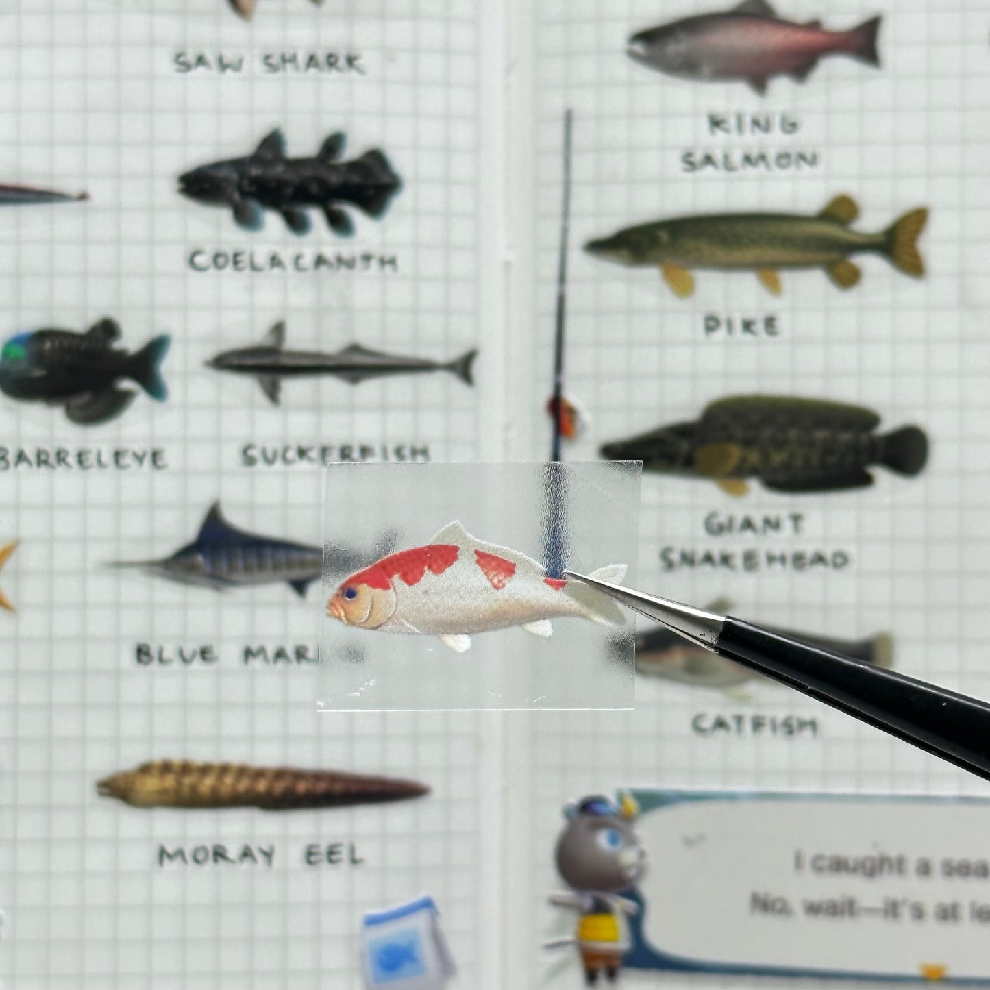 Fish tape