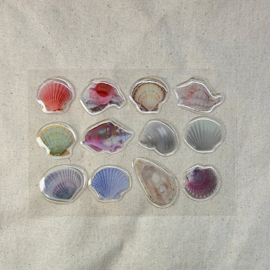 Seashell gummies