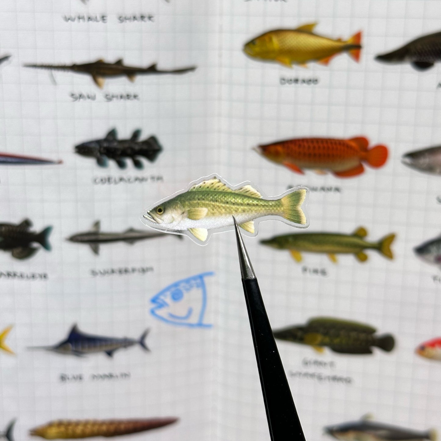 Under the sea - sticker roll