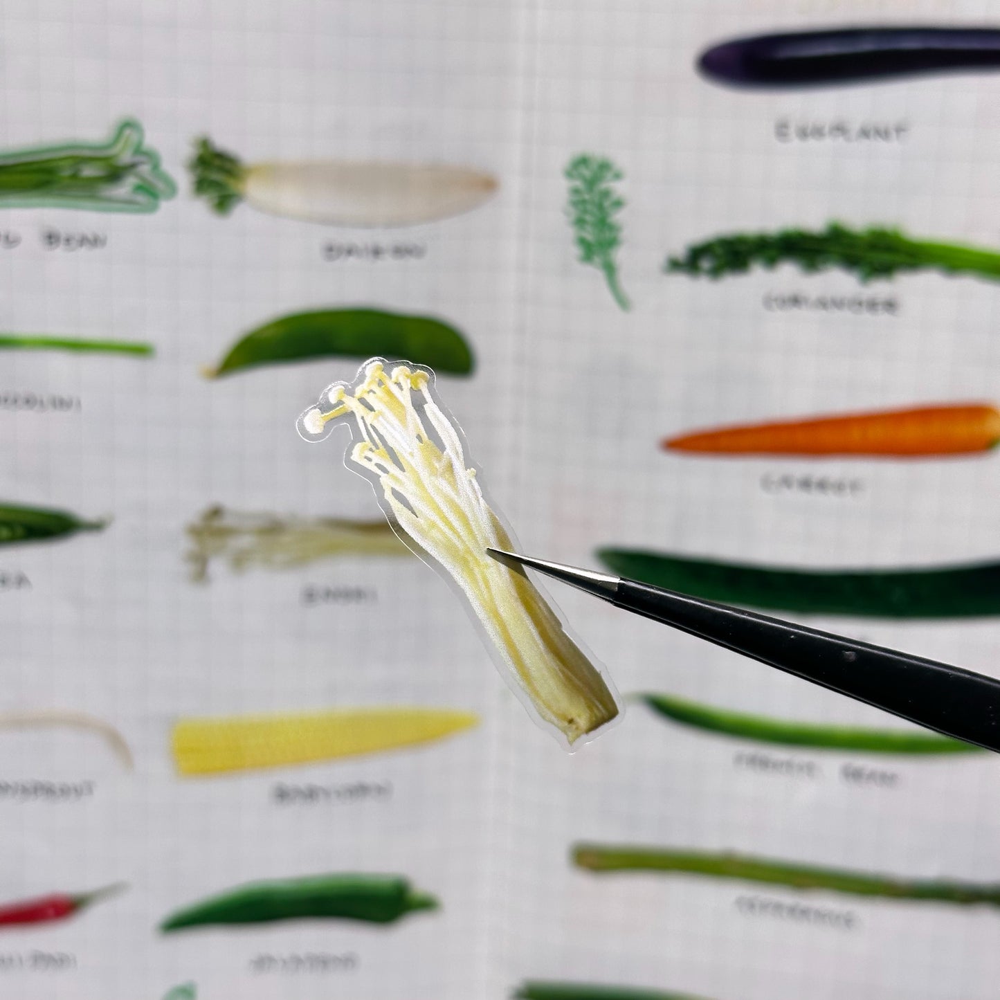 Veggies - sticker roll